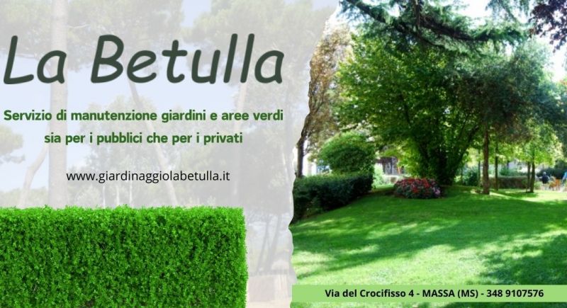 servizio professionale manutenzione giardini e aree verdi