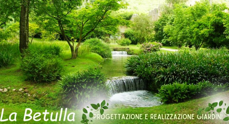 azienda specializzata in progettazione e realizzazione giardini