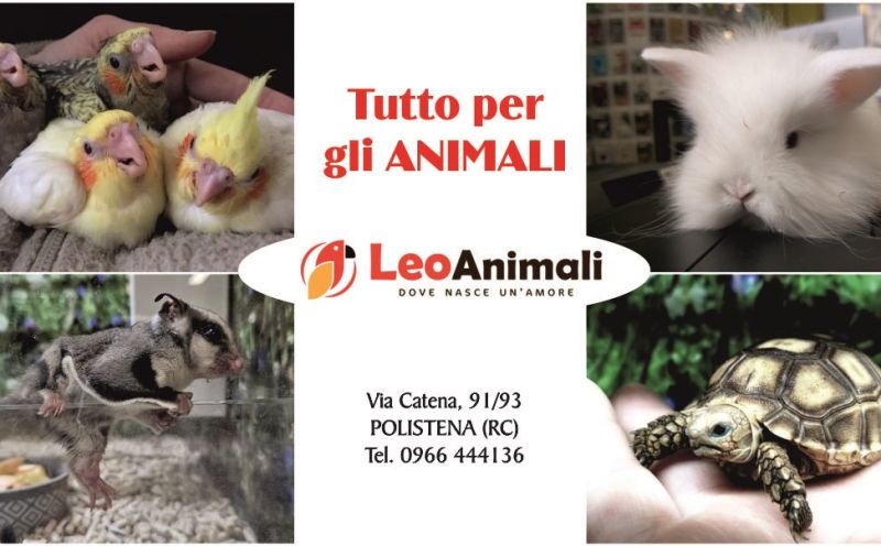  occasione pet shop vendita alimenti per animali domestici