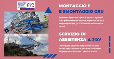 offerta gru edili servizio assistenza montaggio e smontaggio ravenna