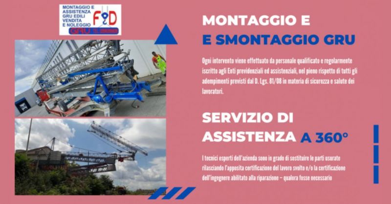 Offerta Gru edili servizio assistenza montaggio e smontaggio Ravenna