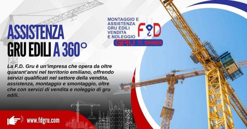 Azienda specializzata assistenza tecnica gru edili