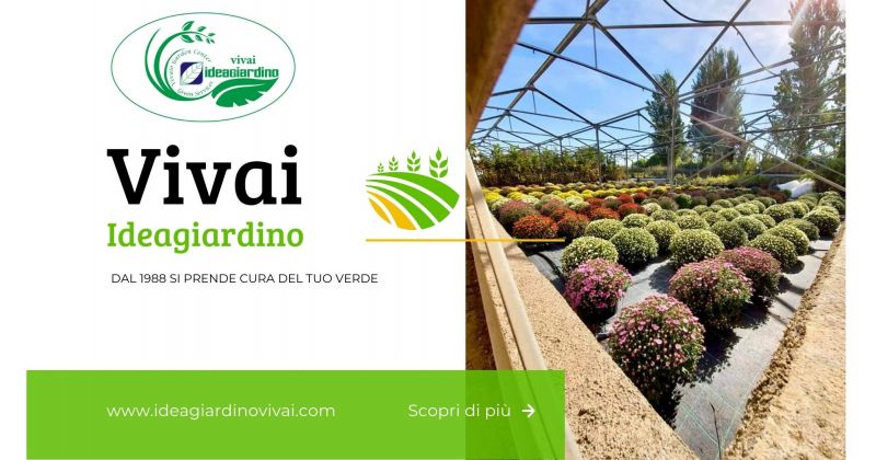    offerta vivaio Sardara - promozione articoli manutenzione e cura del giardino