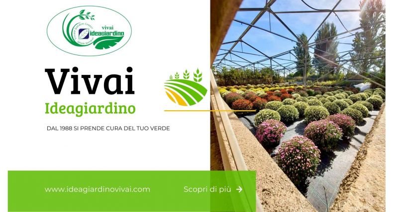 promozione vivaio articoli manutenzione e cura del giardino Sardara