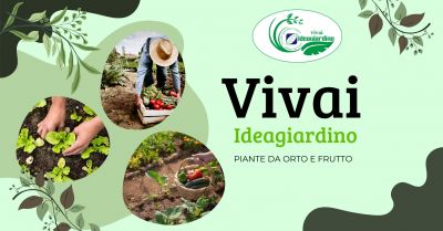 offerta vivaio promozione piante da orto da frutto ed aromatiche