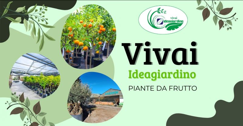 vendita piante e alberi da frutto pronte da trapiantare Sardara