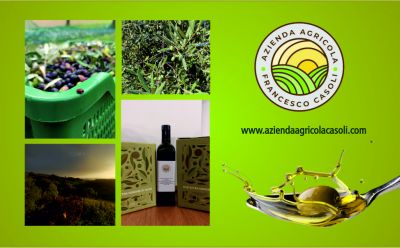 offerta azienda agricola produzione di olio extravergine di oliva produzione propria pesaro urbino