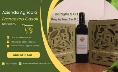 offerta vendita bag in box olio extravergine di oliva occasione vendita olio evo bag in box 5 litri