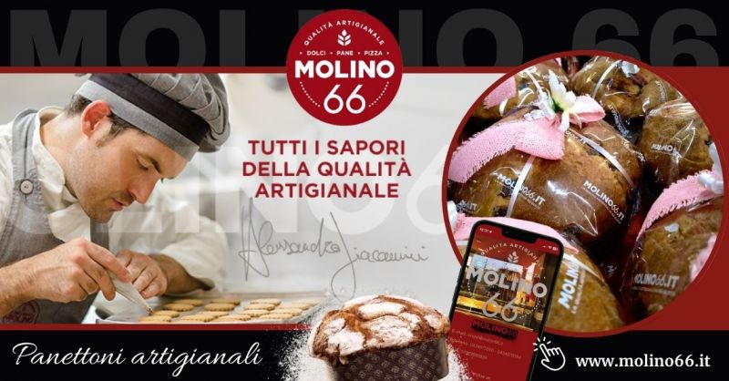 Dove acquistare i migliori panettoni artigianali provincia