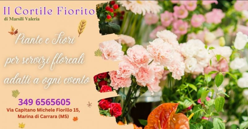 Vendita Piante e Fiori per servizi floreali adatti a ogni evento in offerta