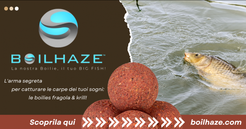 Offerta boilies pesca alla carpa Fragola & Krill best quality boilies carpfishing