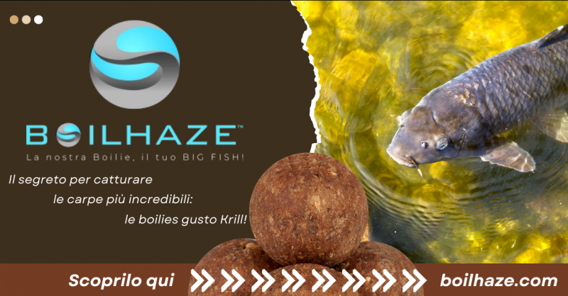 Offerta boilies gusto Krill pesca alla carpa