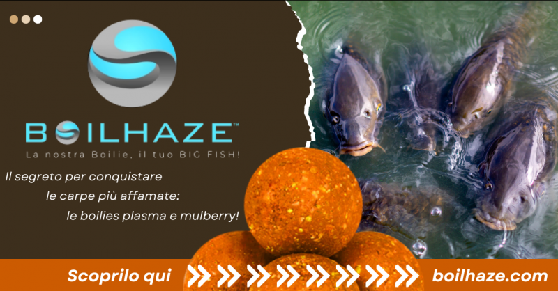 Offerta boilies indian spice della migliore qualita per carpfishing