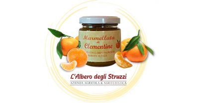 offerta vendita online marmellata di clementine produzione propria 100 gr