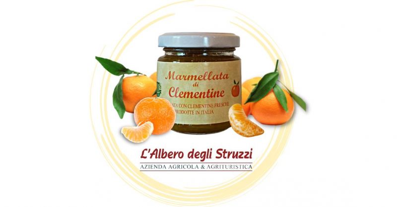  Offerta marmellata di clementine produzione propria made in Italy vendita online