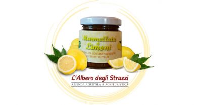  offerta vendita online marmellata artigianale di limoni prodotti in italia