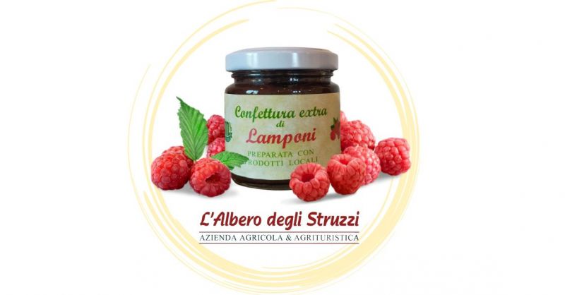 Offerta Online acquisto confettura di Lamponi 100 gr produzione propria Italia