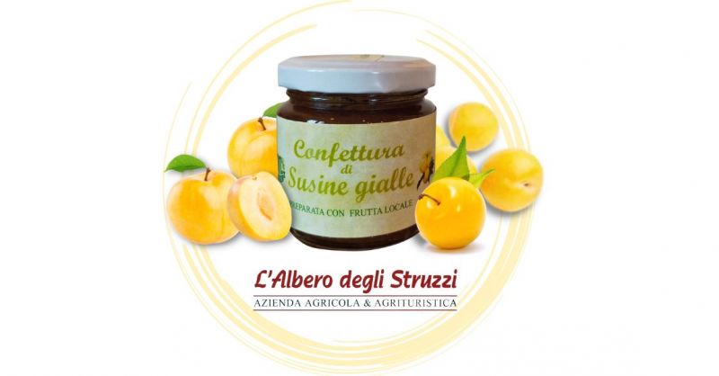  Offerta vendita online Confettura di Susine gialle 100 gr produzione propria artigianale in Italia