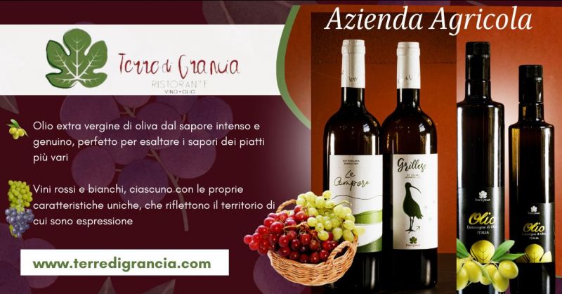 offerta Azienda Agricola produzione di olio e vino a Grosseto