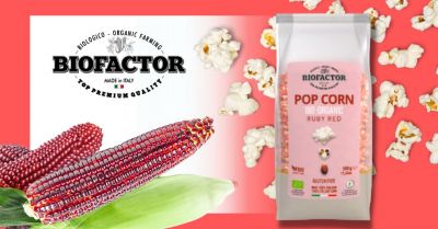  offerta vendita mais rosso biologico per popcorn