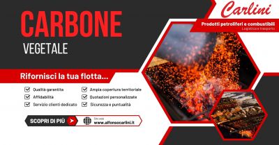  offerta fornitura carbone vegetale per grigliate e barbecue