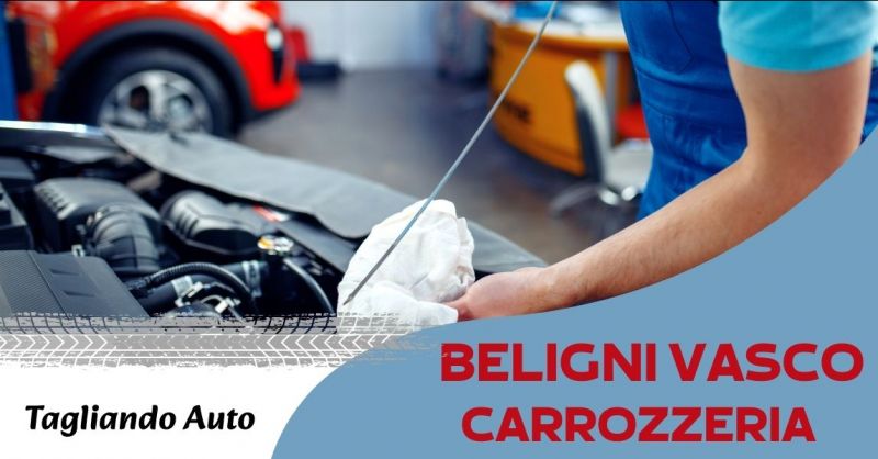 chi effettua tagliando auto a Sovicille