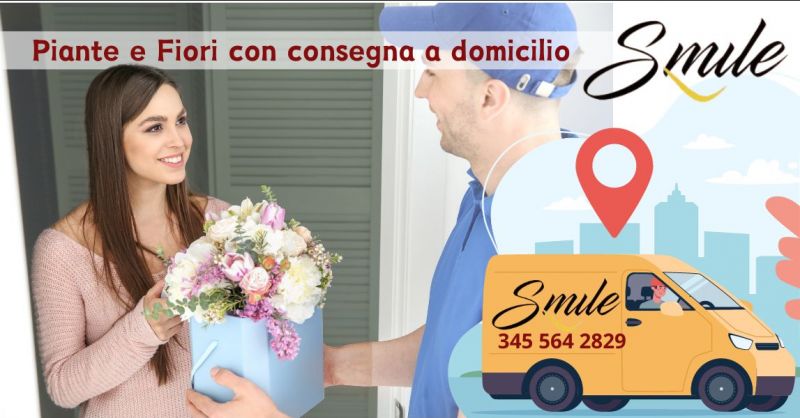 offerta vendita diretta di piante e fiori con consegna a domicilio