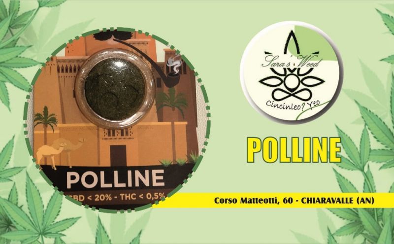 polline cbd legale