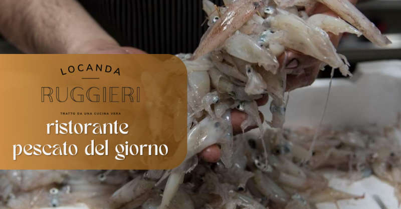 Ristorante trattoria pescato del giorno a Sabaudia