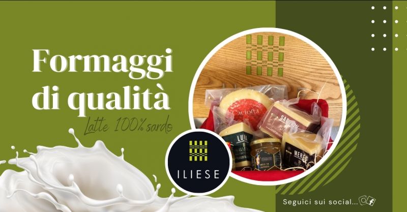 Formaggi di qualita da latte  sardo a Oliena azienda casearia Iliese