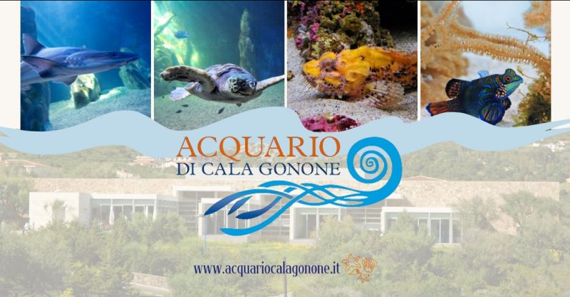 visita Acquario di Cala Gonone tariffe e orari