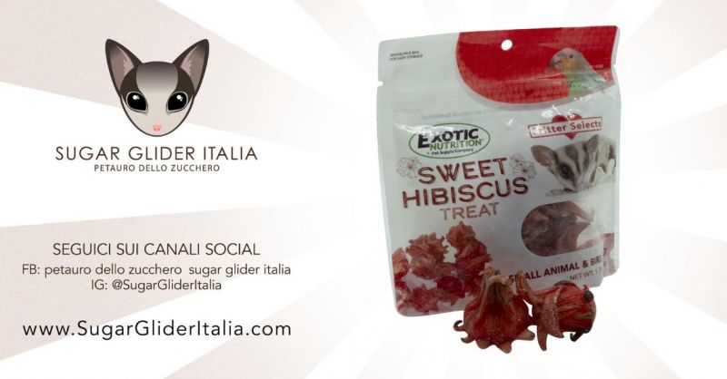 Sweet Hibiscus Treat di Exotic Nutrition snack squisito prezzo speciale
