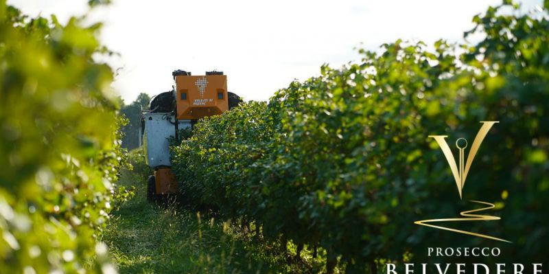 Prosecco Doc Brut wine of the best quality Sparkling white wine made Italy