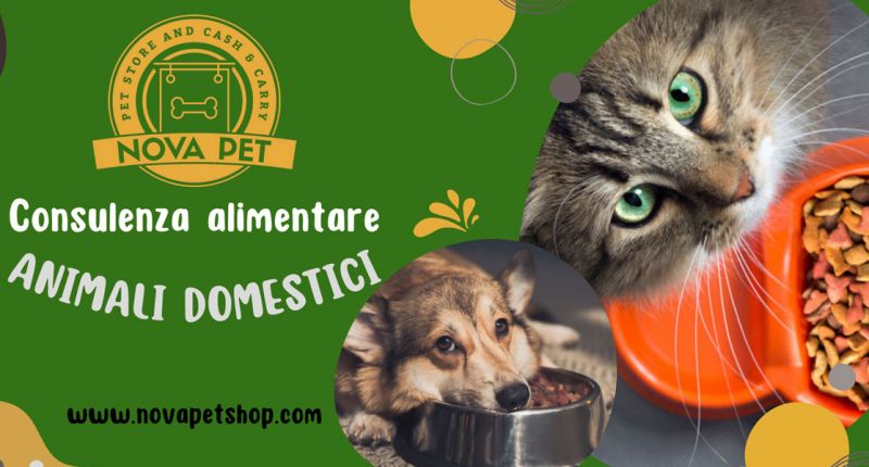 Consulenza nutrizionale per animali domestici
