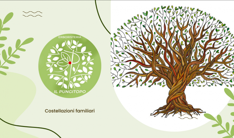 Costellazioni familiari e sistemiche