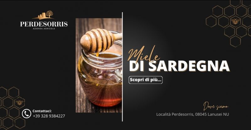 Degustazione miele percorso sensoriale a Lanusei