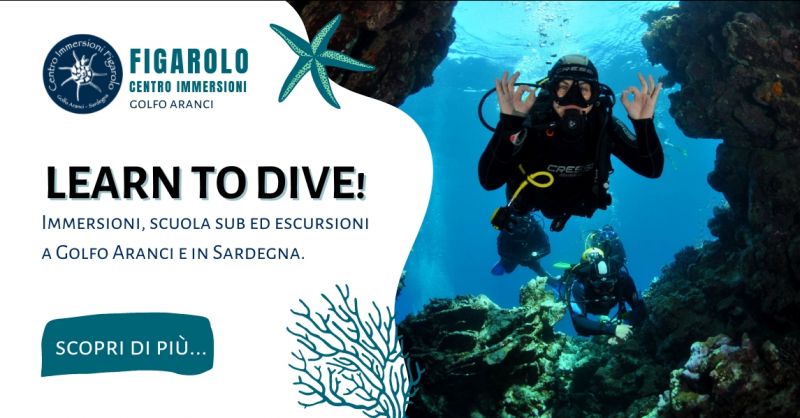 Corsi e immersioni subacquee per ogni livello Golfo Aranci