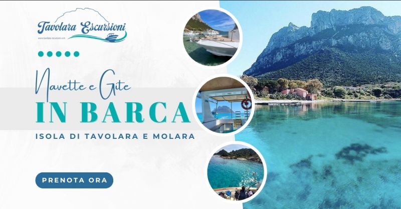 Escursioni in barca isola di Tavolara e Molara Sardegna