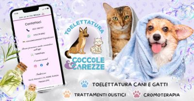 toelettatura olistica per cani e gatti