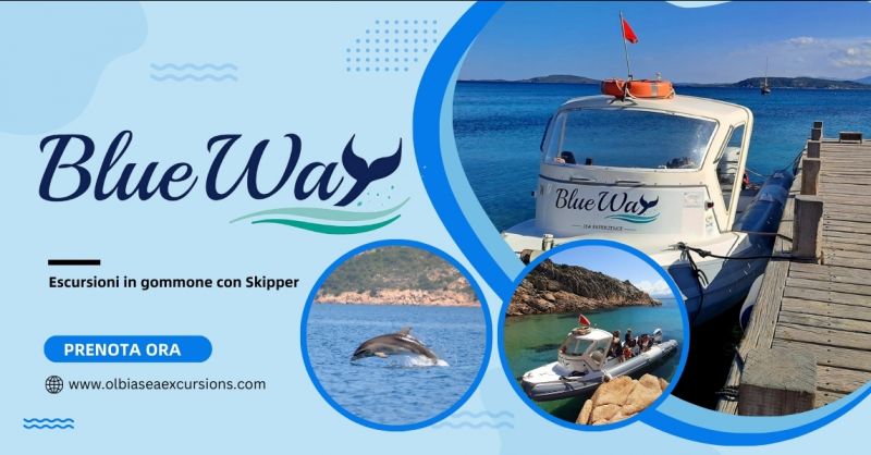 Escursione in gommone con avvistamento delfini Golfo Aranci