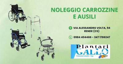 noleggio carrozzine e ausili