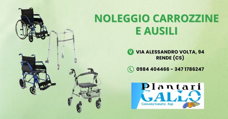 noleggio carrozzine e ausili