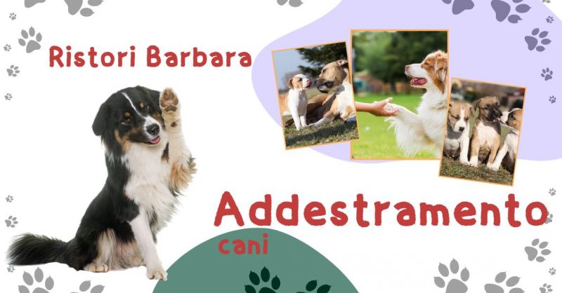 Corsi educazione cani