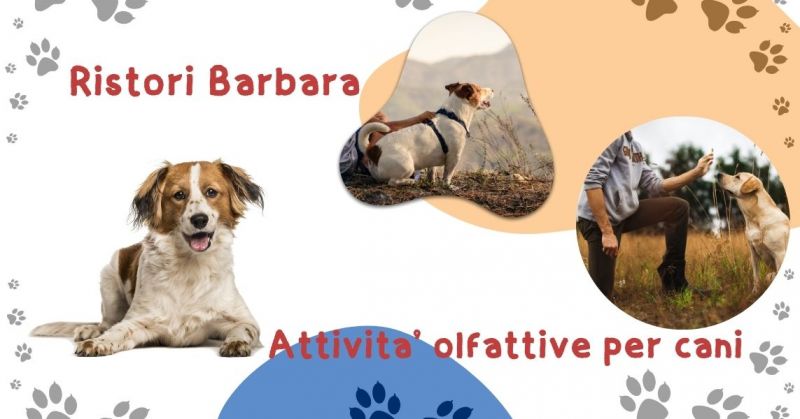 Attività olfattive per cani a Pinerolo