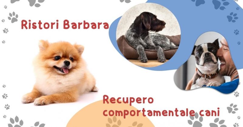 Recupero comportamentale cani a Pinerolo