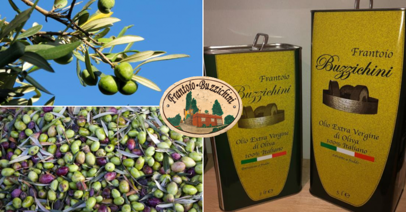 Produzione olio extravergine di oliva a Citta di Castello