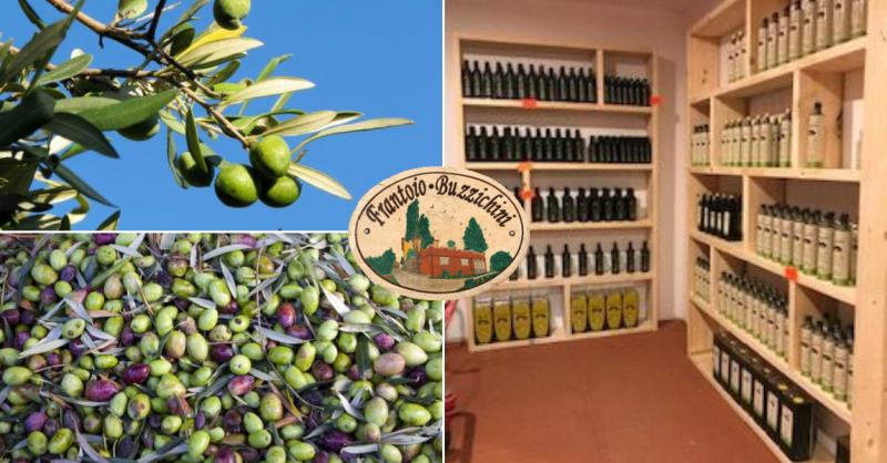 Vendita diretta olio extravergine a Citta di Castello