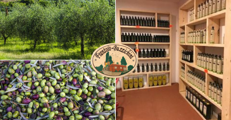 Produzione e vendita olio extravergine a Citta di Castello