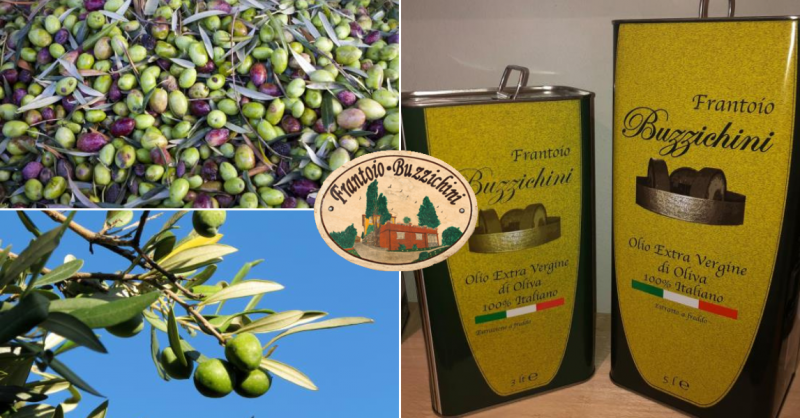 Produzione e vendita olio extravergine di oliva a Sangiustino