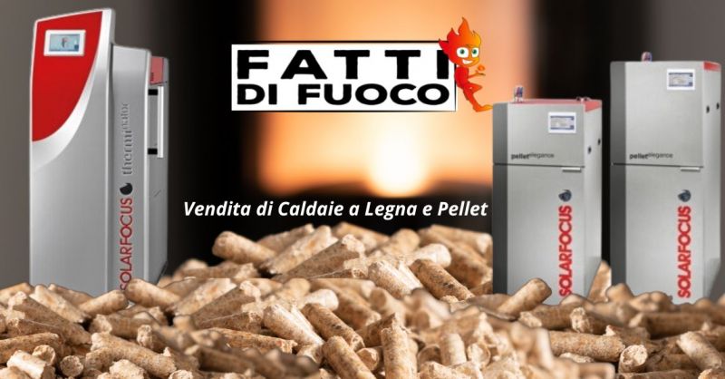 quale azienda vende caldaie a legna e pellet di qualita